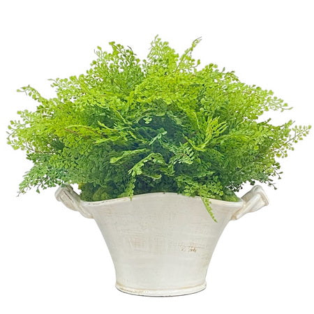 SPRING FERN IN PLANTER 22''