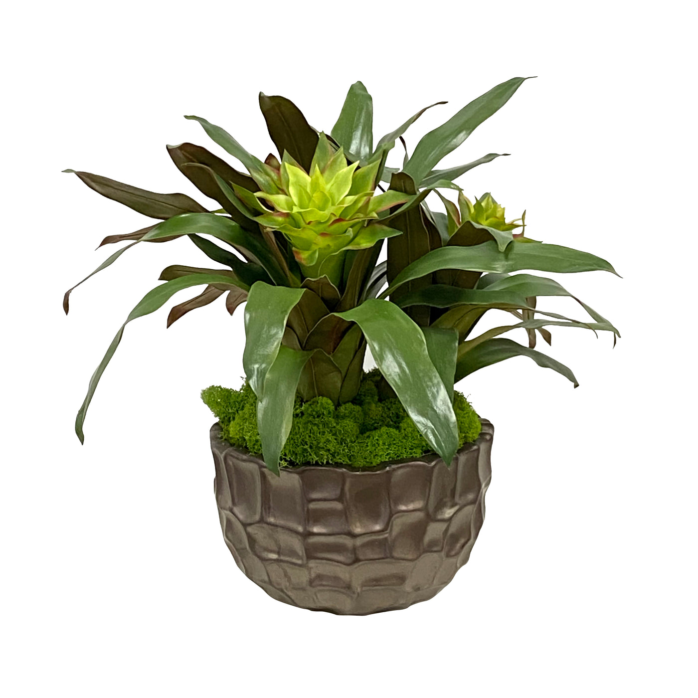 BROMELIAD MIX IN BOWL 17"