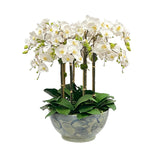 Large faux white phalaenopsis orchid arrangement in a decorative ceramic bowl