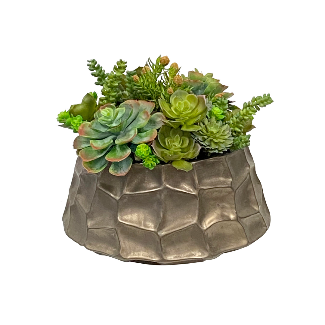 succulent mix pot Succulent Mix in Modern Pot 10"