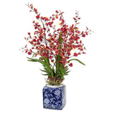 A Oncidium Orchid in a Pot	