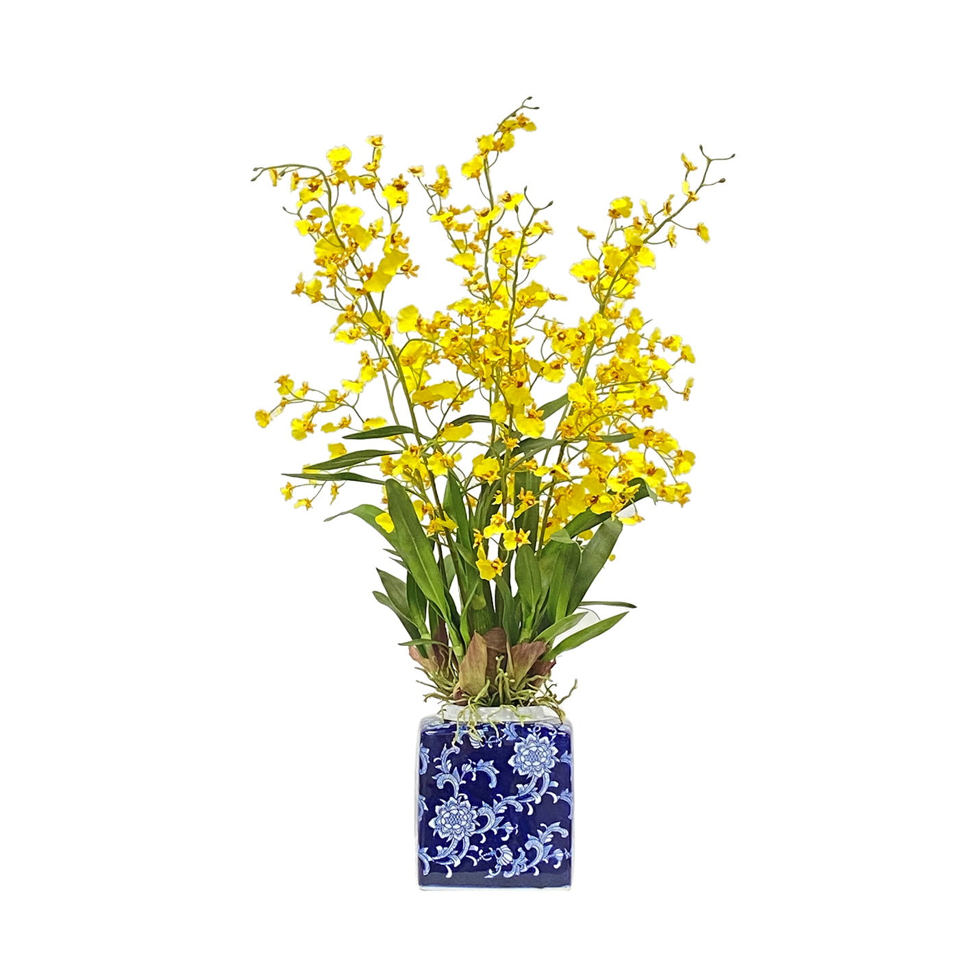 Yellow dancing oncidium faux orchids in a blue and white container