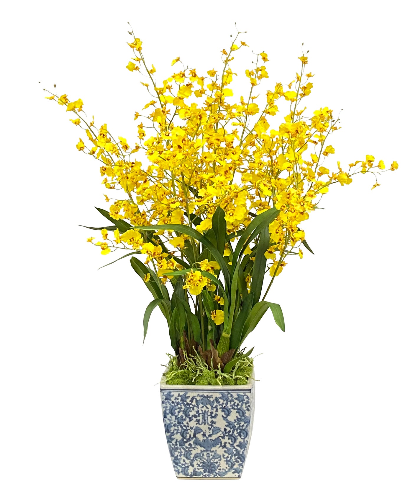 DANCING ORCHID IN CACHE POT (WHD353-YL)