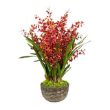 Dancing Orchid in Modern Bowl 32"
