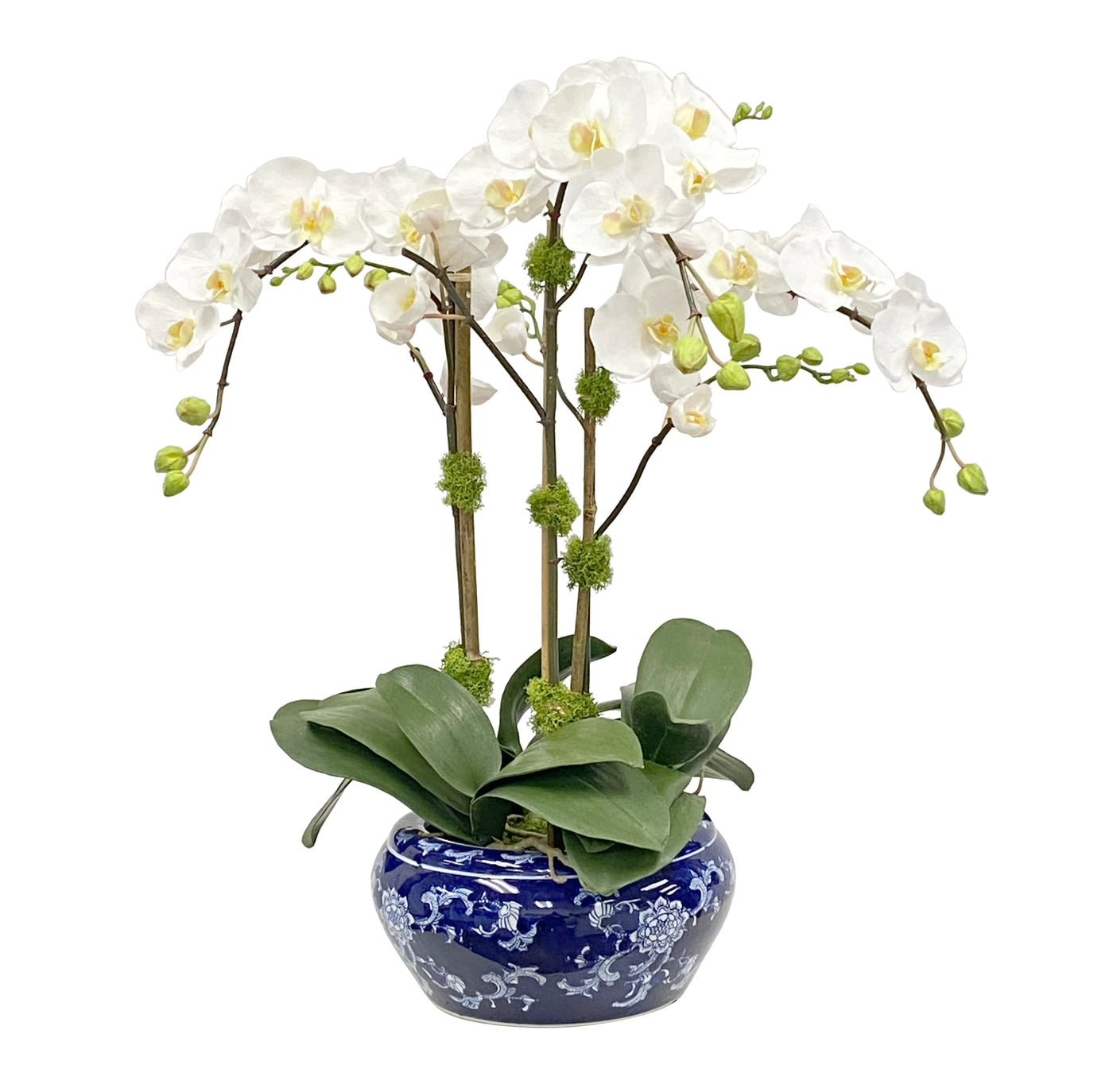 ORCHID IN FISH BOWL (WHD380-WH)