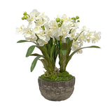 VANDA ORCHID IN BOWL 18"