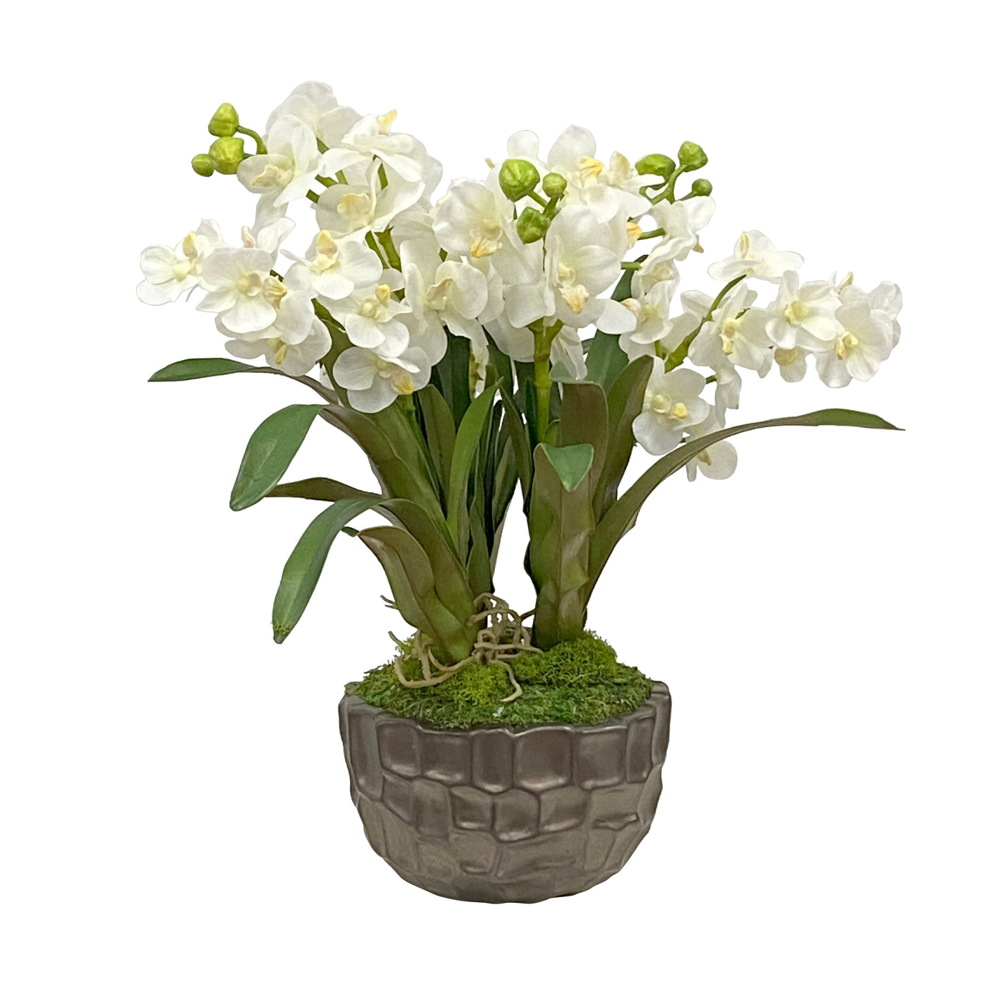 VANDA ORCHID IN BOWL 18"