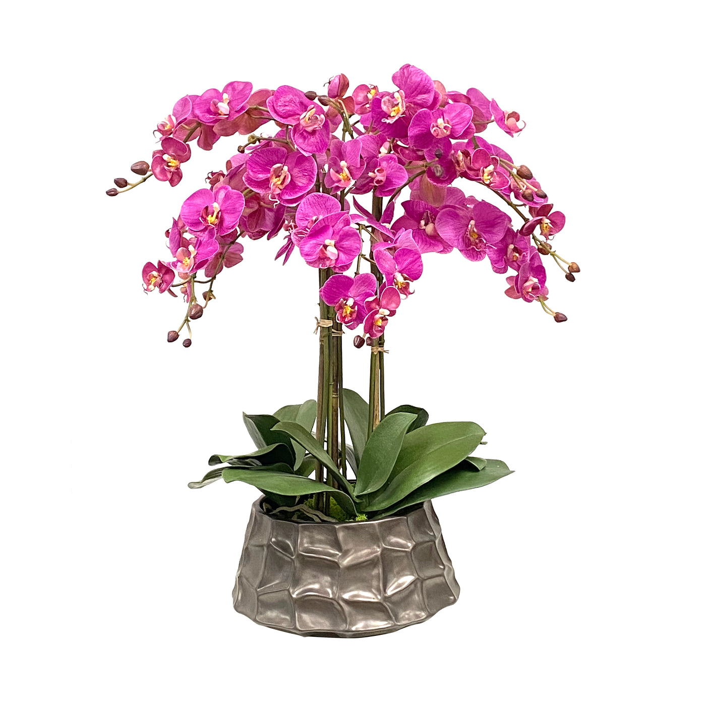 ORCHID IN MODERN POT 26"