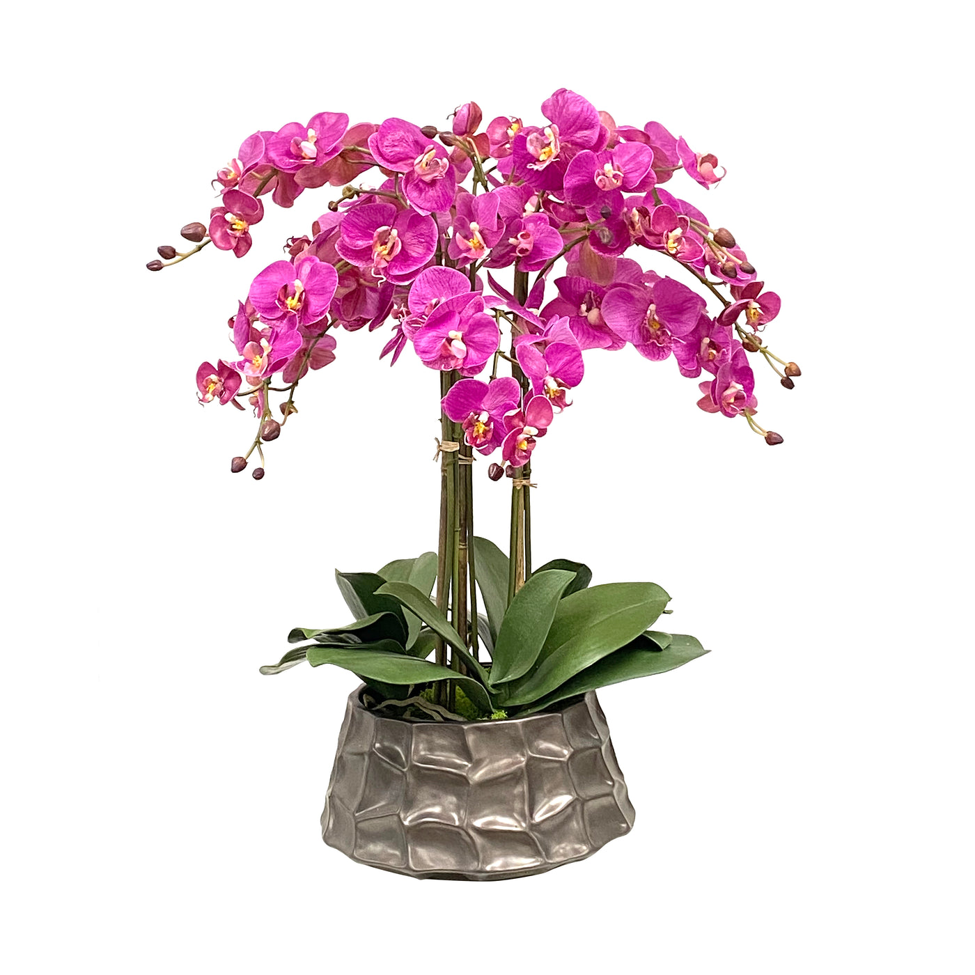 ORCHID IN MODERN POT 26"