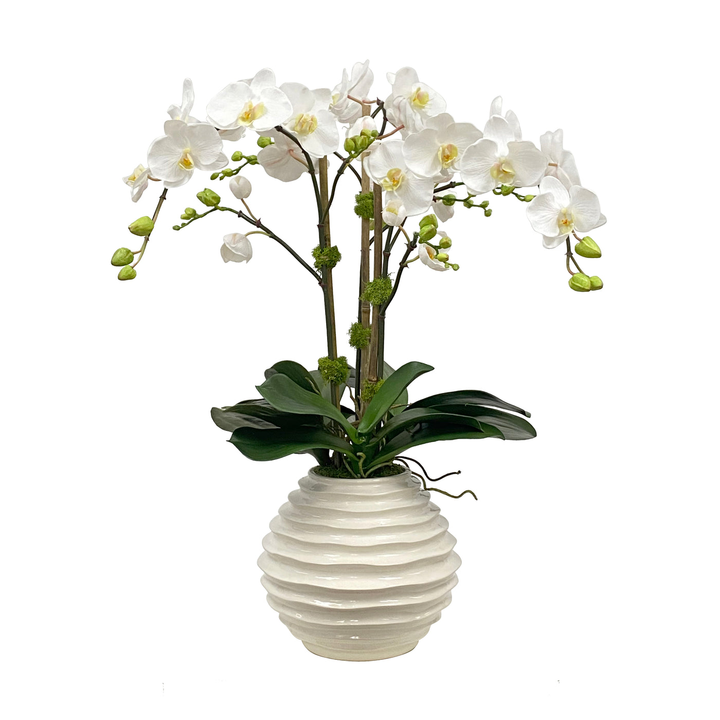 ORCHID IN BEEHIVE POT 27"