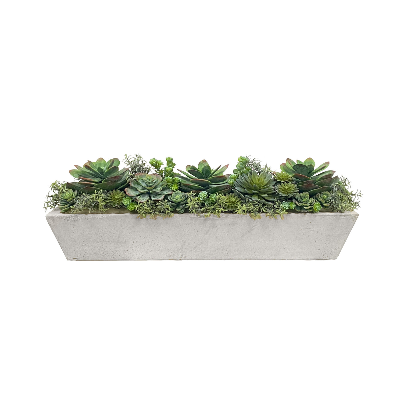Mixed succulents in a contemporary long trough planter, light grey
