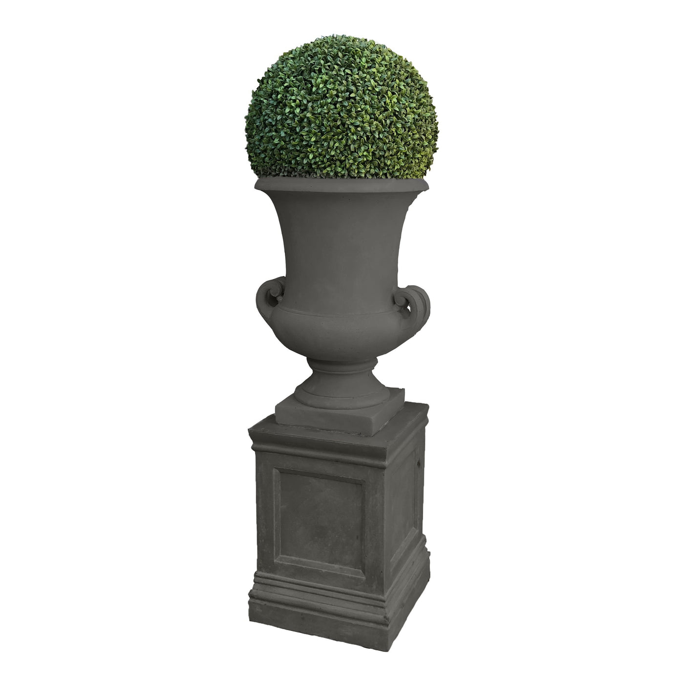 BOXWOOD BALL IN HANDLE URN 5'