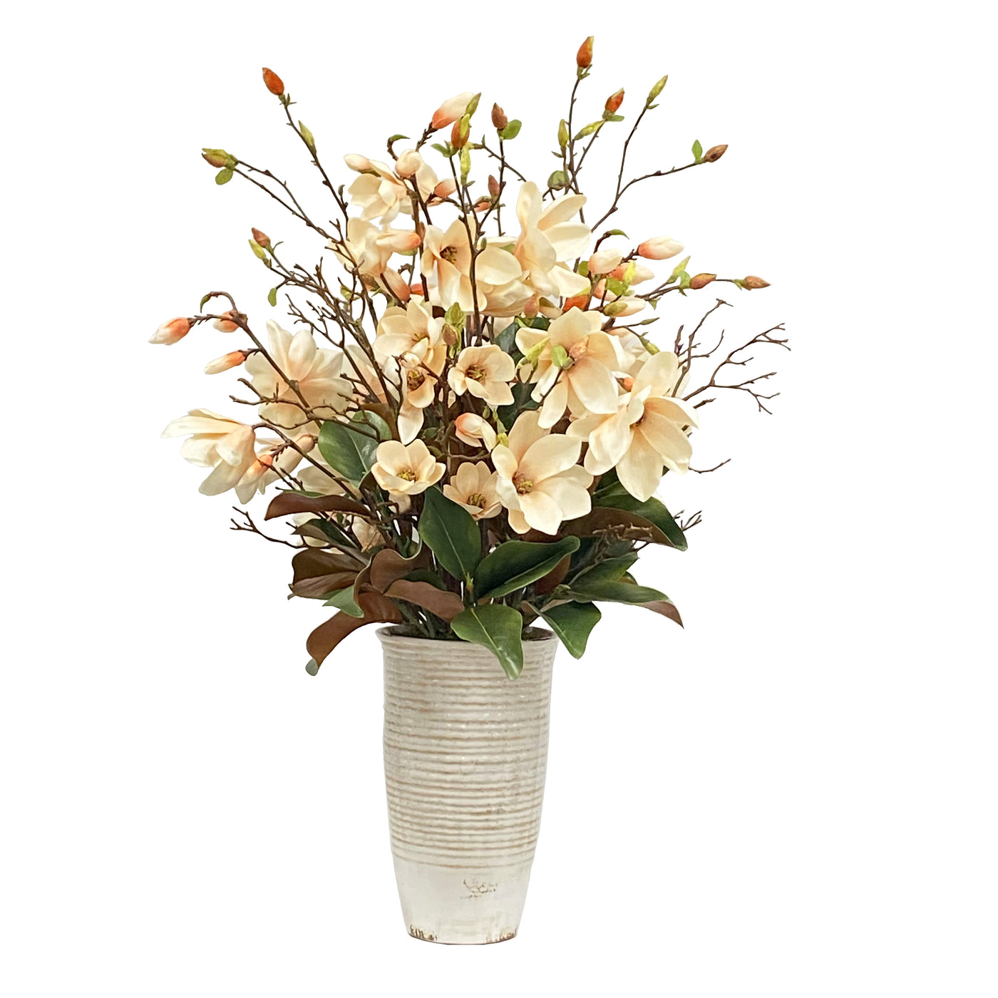 MAGNOLIA IN RIBBED PLANTER 45"