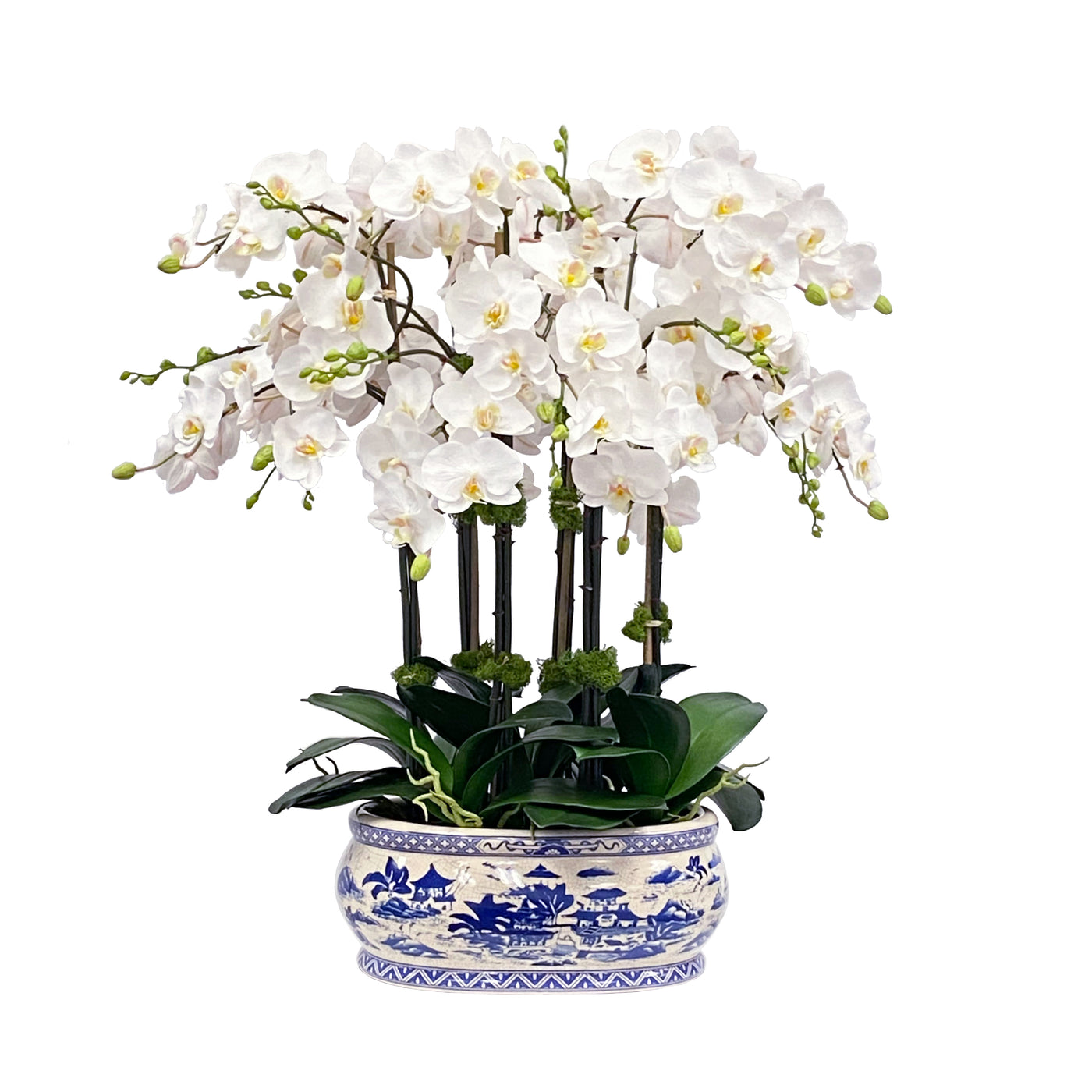 ORCHID IN OVAL PLANTER 31"