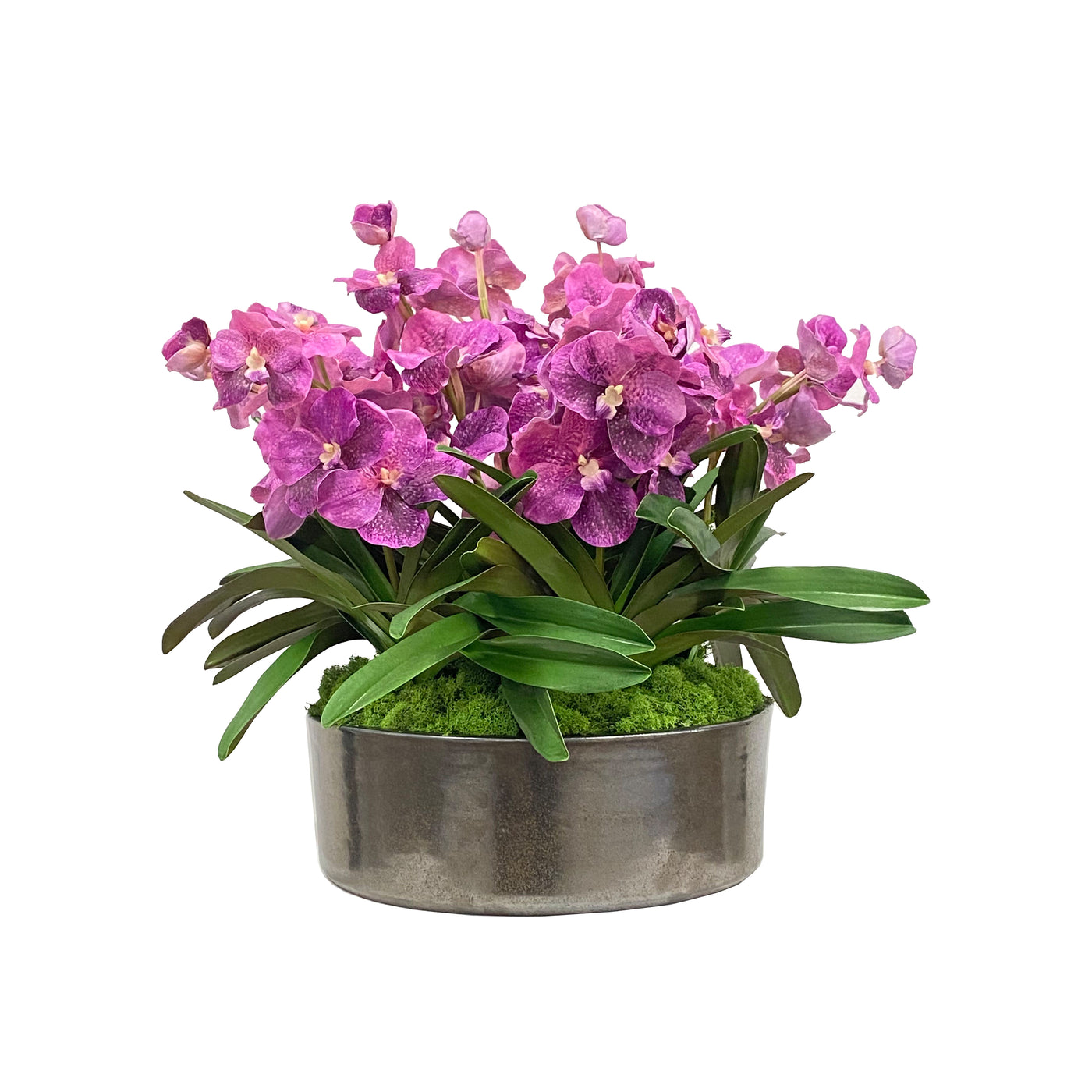 Beautiful faux vanda orchids in dark coated terracotta vase.