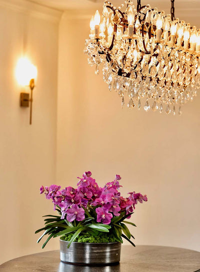 Vibrant purple vanda faux orchids in luxurious home interior