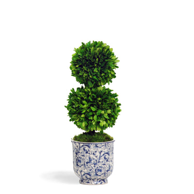 Preserved double boxwood ball in chinoiserie pot