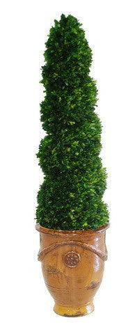 BOXWOOD SPIRAL IN TUSCAN URN (WHPG3144-CF) - Winward Home silk flower arrangements