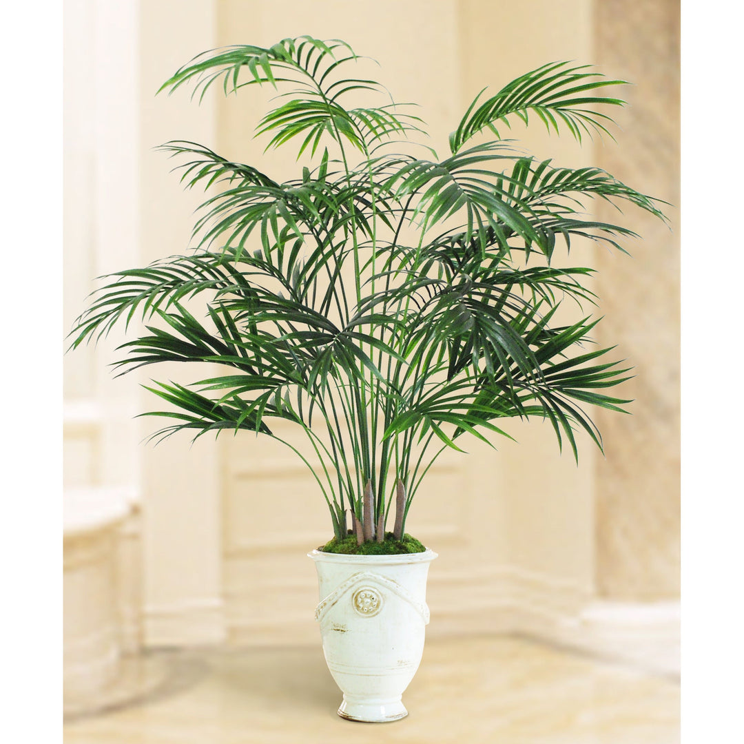 tuscan potted plants Kentia Palm Tree in Tuscan Urn 7.5'