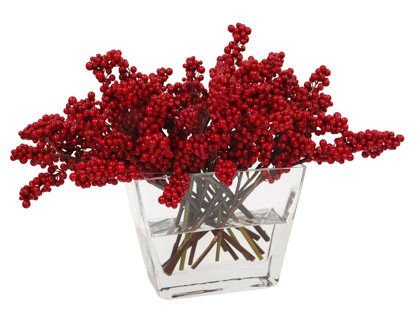 ILEX BERRY IN VASE (XDP091-RD)