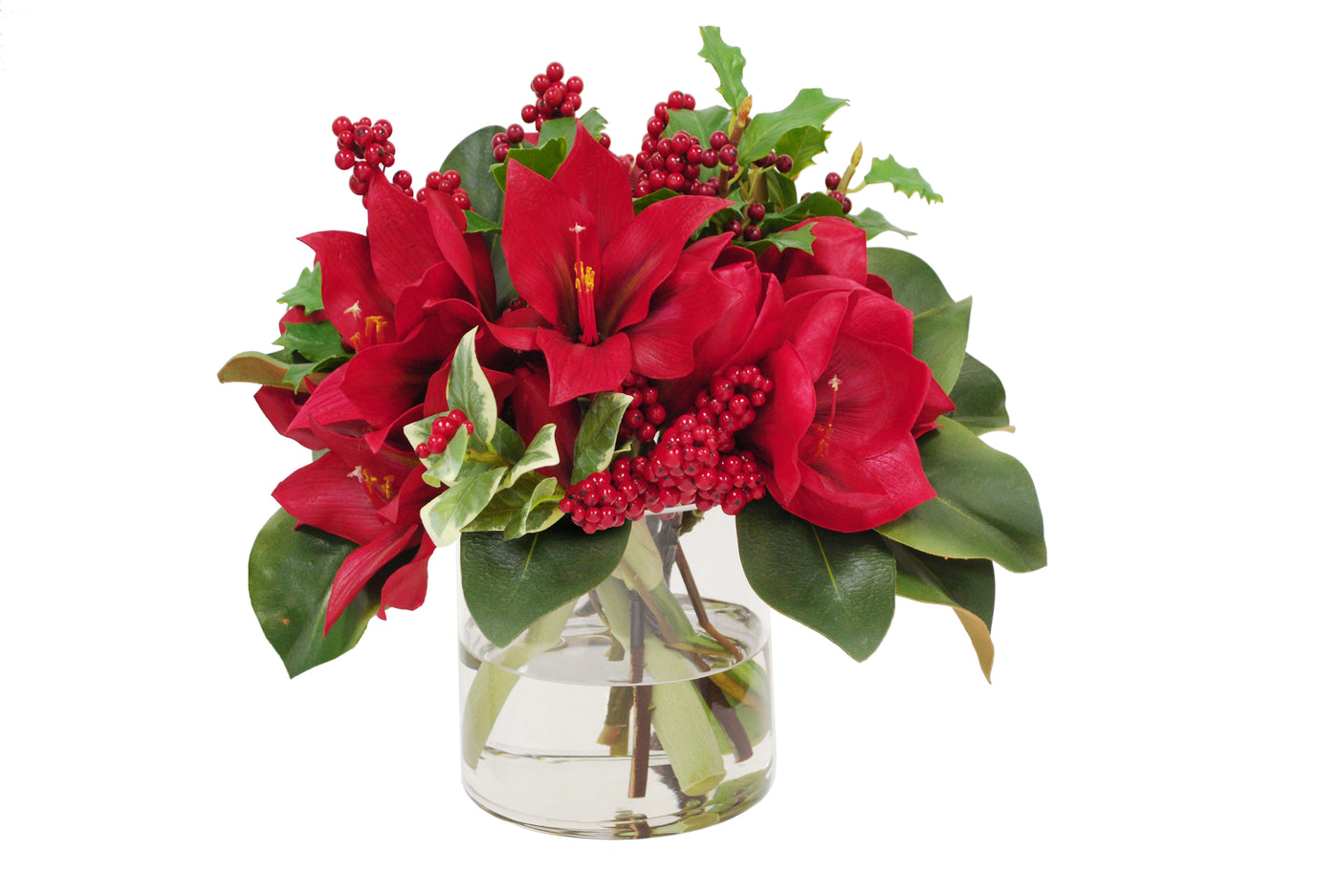 AMARYLLIS & HOLLY IN VASE (XDP098-RD)